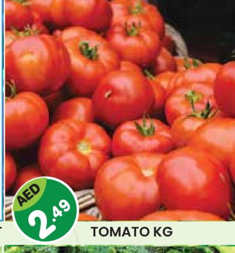 Tomato available at Baniyas Spike  in UAE - Abu Dhabi