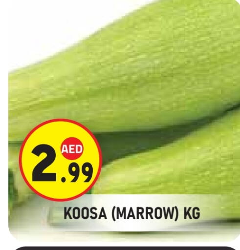 Marrow available at سنابل بني ياس in الإمارات العربية المتحدة , الامارات - ٱلْعَيْن‎