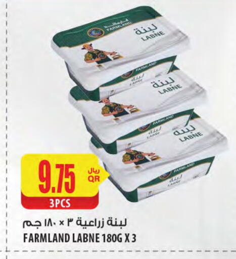 لبنة available at شركة الميرة للمواد الاستهلاكية in قطر - الريان