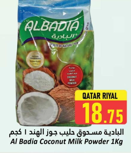 Coconut Powder available at Dana Hypermarket in Qatar - Al Shamal