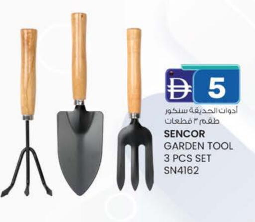 available at Safa Express Supermarket in UAE - Al Ain