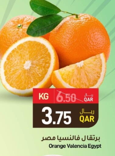 برتقال from Egypt available at ســبــار in قطر - الخور