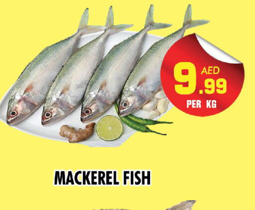 available at NIGHT TO NIGHT DEPARTMENT STORE in UAE - Sharjah / Ajman