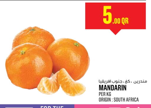 برتقال from South Africa available at مونوبريكس in قطر - الخور