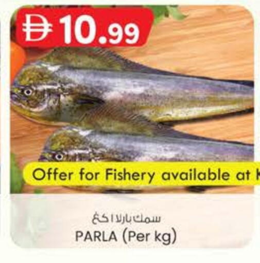 available at Safa Express Supermarket in UAE - Abu Dhabi