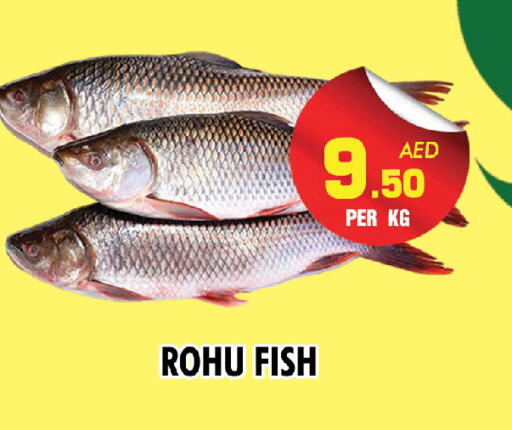 available at NIGHT TO NIGHT DEPARTMENT STORE in UAE - Sharjah / Ajman