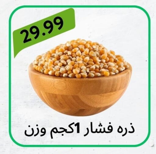 available at Hyper Eagle in Egypt - Cairo