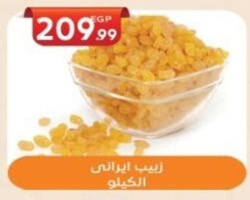 available at أولاد المحاوى in Egypt - القاهرة