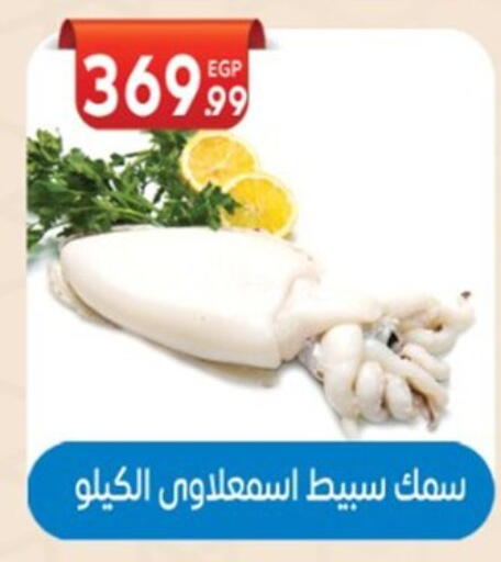 available at El mhallawy Sons in Egypt - Cairo