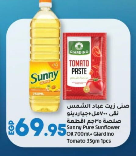 SUNNY Sunflower Oil available at Lulu Hypermarket  in Egypt - Cairo