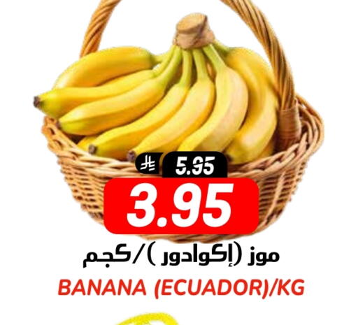 فاكهة طازجة in المدينة هايبرماركت, المملكة العربية السعودية Offers - المملكة العربية السعودية موز from Ecuador available at المدينة هايبرماركت in مملكة العربية السعودية, السعودية, سعودية - الرياض
