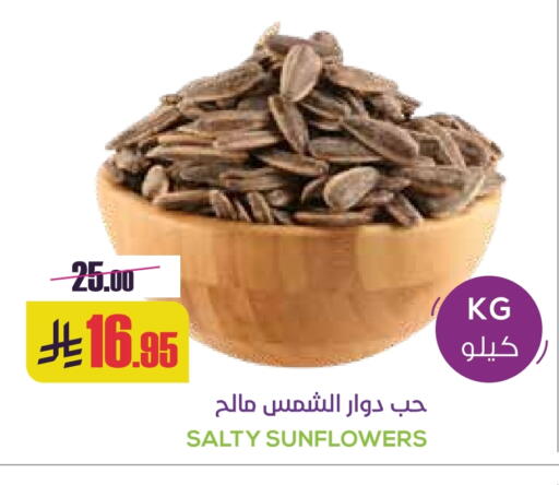 available at Sapt in KSA, Saudi Arabia, Saudi - Buraidah
