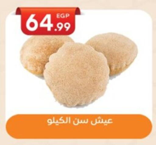 available at أولاد المحاوى in Egypt - القاهرة