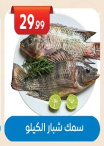 available at El mhallawy Sons in Egypt - Cairo