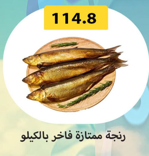 available at هايبر سامي سلامة وأولاده in Egypt - القاهرة