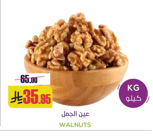available at Sapt in KSA, Saudi Arabia, Saudi - Buraidah