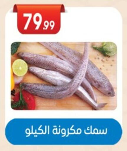 available at El mhallawy Sons in Egypt - Cairo