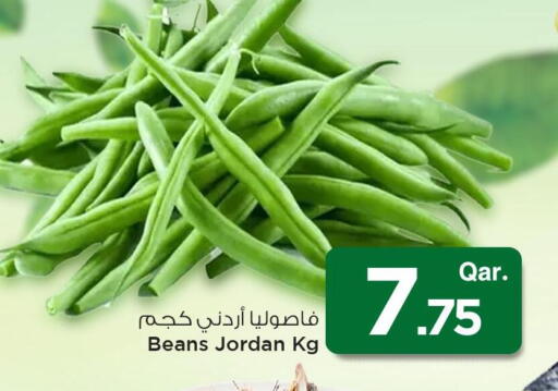 فاصوليا from Jordan available at مارك & سيف in قطر - الضعاين