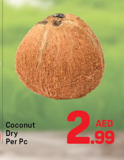 Coconut available at Day to Day Department Store in UAE - Dubai