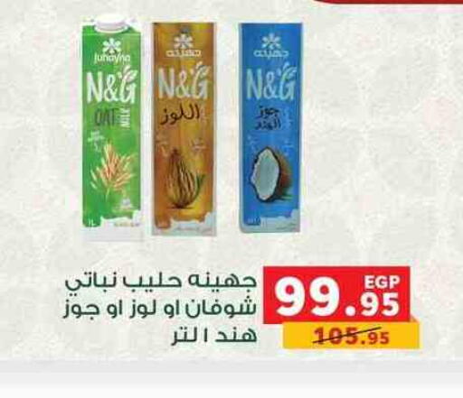 Other Milk available at Panda  in Egypt - Cairo