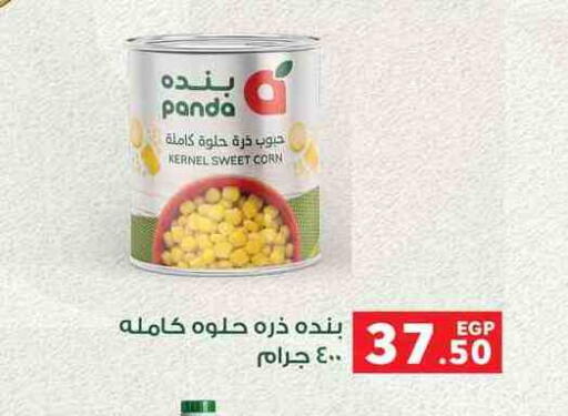available at بنده in Egypt - القاهرة