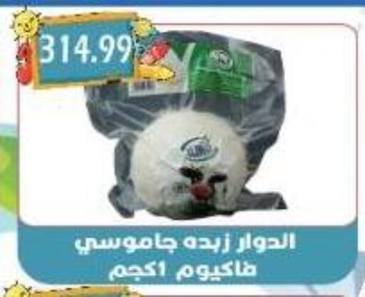 available at Euromarche in Egypt - Cairo