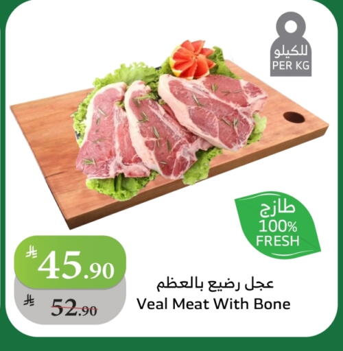 لحم عجل available at الراية in مملكة العربية السعودية, السعودية, سعودية - مكة المكرمة