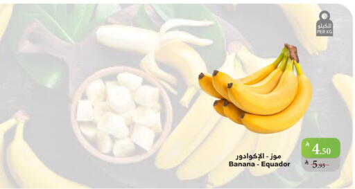 موز available at الراية in مملكة العربية السعودية, السعودية, سعودية - ينبع