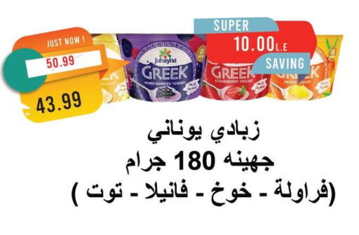 زبادي يوناني available at مترو ماركت in Egypt - القاهرة