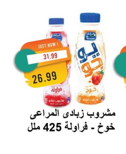المراعي زبادي available at مترو ماركت in Egypt - القاهرة