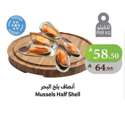 available at الراية in مملكة العربية السعودية, السعودية, سعودية - مكة المكرمة