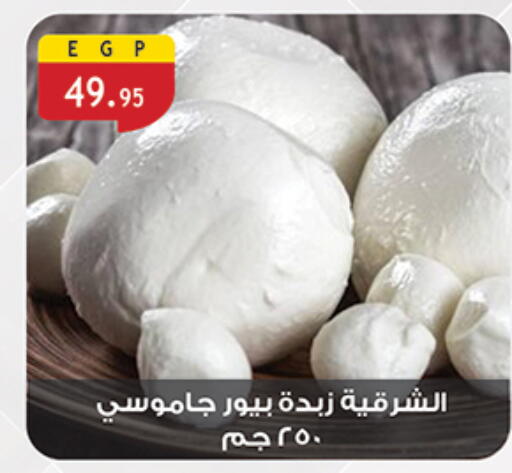 available at Al Rayah Market   in Egypt - Cairo