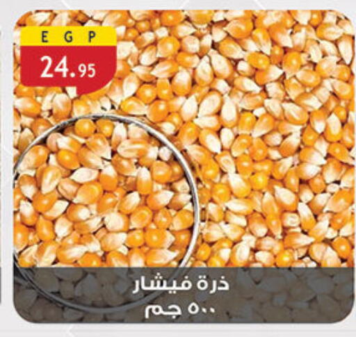 available at Al Rayah Market   in Egypt - Cairo