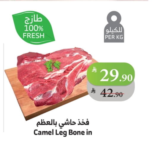 لحم حاشي available at الراية in مملكة العربية السعودية, السعودية, سعودية - مكة المكرمة