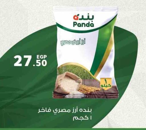 أرز كالروز available at بنده in Egypt - القاهرة