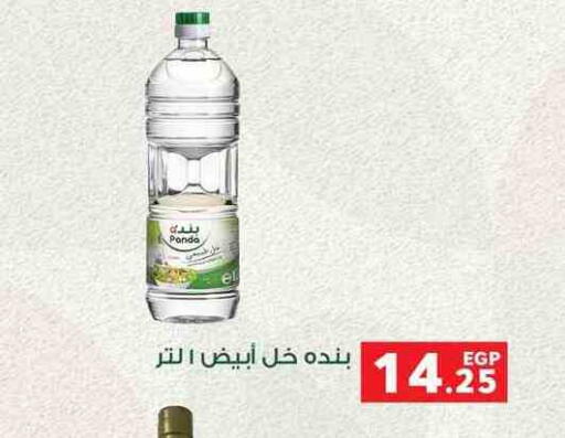 خل available at بنده in Egypt - القاهرة