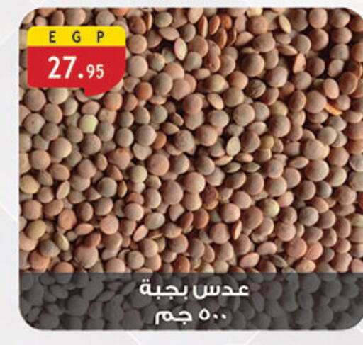 available at Al Rayah Market   in Egypt - Cairo