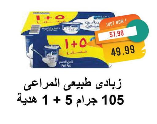 المراعي زبادي available at مترو ماركت in Egypt - القاهرة