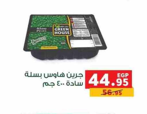 available at بنده in Egypt - القاهرة