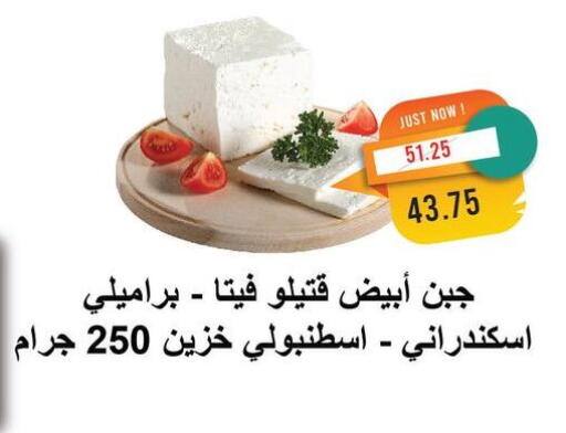 Feta available at Metro Market  in Egypt - Cairo