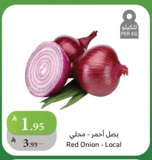 بصل available at الراية in مملكة العربية السعودية, السعودية, سعودية - مكة المكرمة