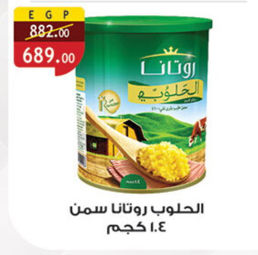 available at Al Rayah Market   in Egypt - Cairo