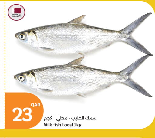 available at سيتي هايبرماركت in قطر - الريان
