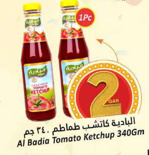 كاتشب الطماطم available at دانة هايبرماركت in قطر - الدوحة