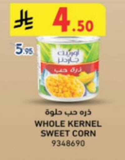 available at Danube in KSA, Saudi Arabia, Saudi - Tabuk