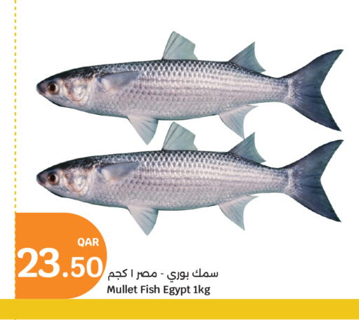 available at سيتي هايبرماركت in قطر - الريان