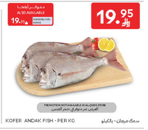 available at Carrefour in KSA, Saudi Arabia, Saudi - Al Khobar