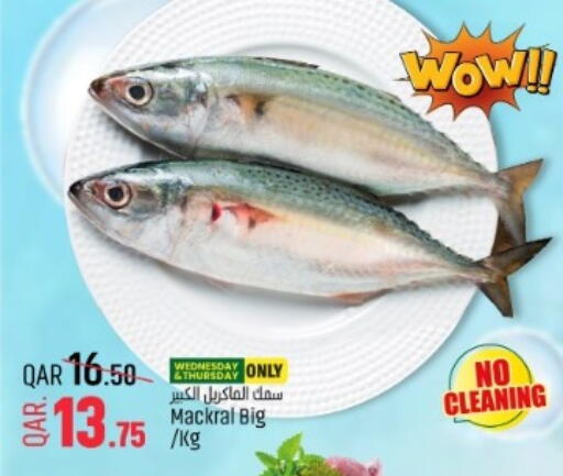 available at باريس هايبرماركت in قطر - الريان