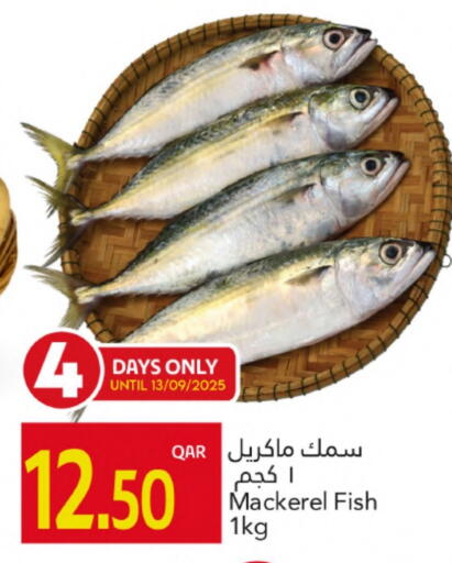 available at جلف فود سنتر in قطر - الريان