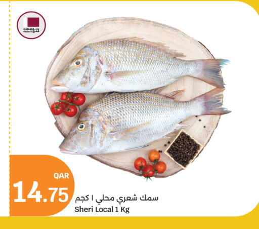 available at سيتي هايبرماركت in قطر - الريان